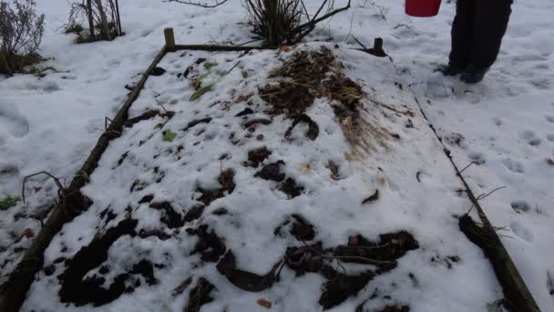 Trädgårdsmästare Bonde Hälla Grönsaker Frukt Och Blommor Växter Avfall Vintern — Stockvideo