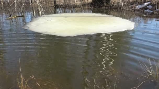 去年の春の氷と小さな池の水の洪水 — ストック動画