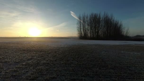 Конец Зимы Восход Солнца Над Пахотными Полями Рощами Время Истекло — стоковое видео