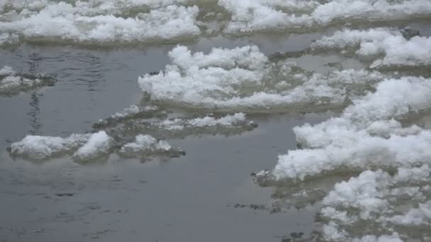 Eis Treibt Vorfrühling Auf Fluss — Stockvideo