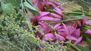 Taze tıbbi otlar arka plan döndürme. Ekinezya, solucan ağacı ve adaçayı bambu mat