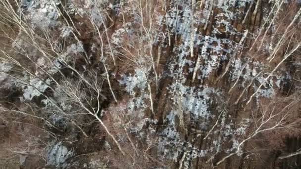 无人机在早春沼泽森林之上 最后一场雪 — 图库视频影像