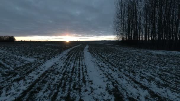 Crop Field Winter End Snow Sunrise Time Lapse — Stock Video