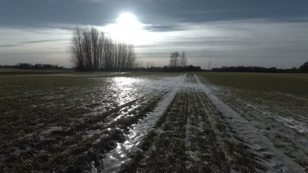 Campo Cultivo Final Invierno Con Hielo Sol Noche Lapso Tiempo — Vídeo de stock