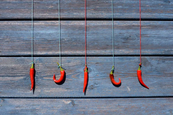 Red chili peppers hanging on a rope on a wooden wall Stock Photo