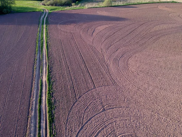 Campo agricolo primaverile coltivato e strada agricola, aerea — Foto Stock