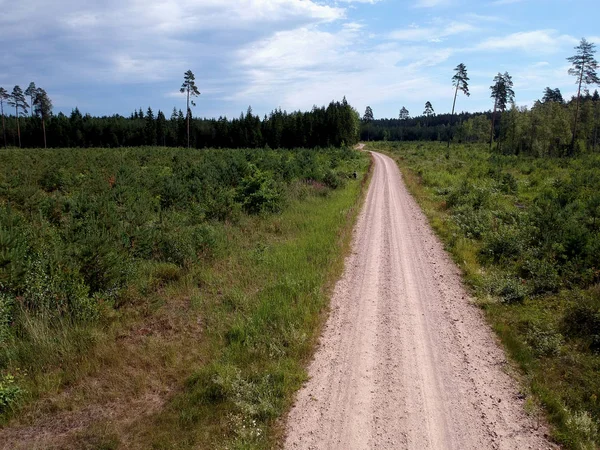 Gravel road in summer time forest, aerial — Stock Photo, Image