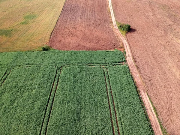 Summer end green crop and plowed brown fields in farmland, aerial