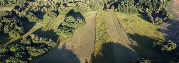Panorama de prairie du milieu de l'été avec herbe de foin fauchée, aérien — Photo