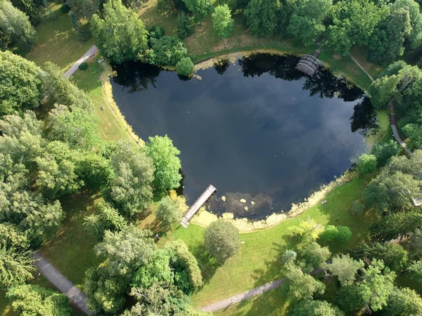 View from top of pond and pier in nature park, aerial
