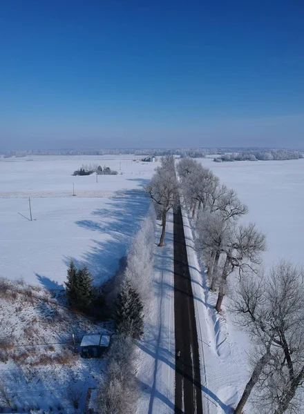 Zima asfaltowa droga ze starą alejką na drzewie, antena — Zdjęcie stockowe