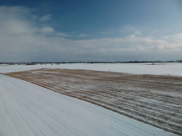 Campo agricolo invernale con stoppie di grano, aerea — Foto Stock