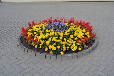 Sokak kaldırımında çiçeklerle çember şeklinde.