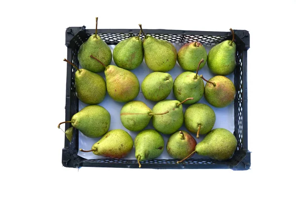 Ripe organic pears harvest in a plastic box isolated — Stock Photo, Image
