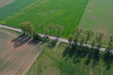 Doğa parkı ve tarım traktörü, anten eski ağaç sokak ile kırsal yol