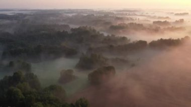 Güneşin doğuşundan sonra güzel sisli doğa parkı manzarası, hava manzarası