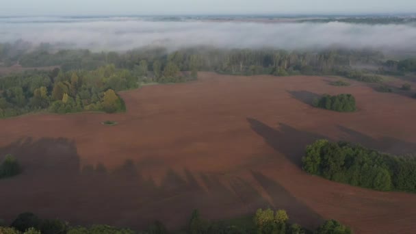 Krásná Mlhavá Ranní Krajina Lesy Oranými Poli Letecký Výhled — Stock video