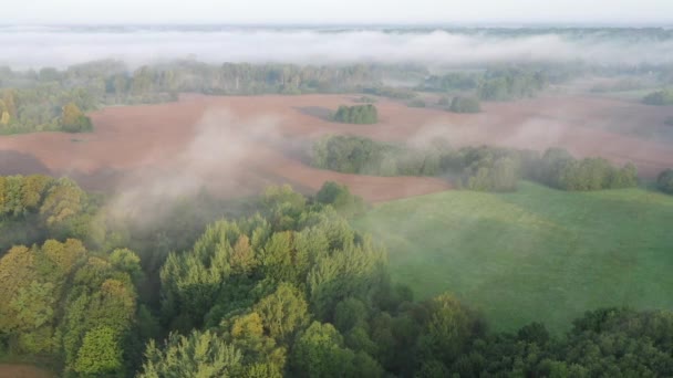 Płynąca Mgła Nad Porannym Krajobrazem Lasem Polami Ornymi Widok Powietrza — Wideo stockowe