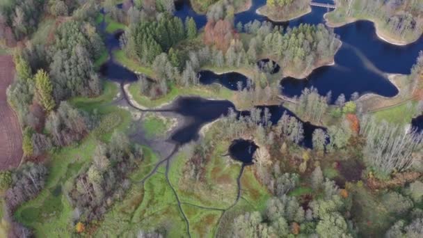 Beautiful Autumn Small Lakes Groves Landscape Nature Park Aerial View — Stock Video