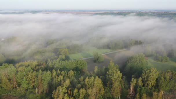 Brume Qui Coule Dessus Paysage Tôt Matin Avec Forêt Route — Video