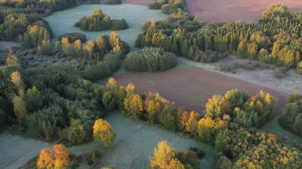 Hermoso Paisaje Dorado Otoño Con Primera Helada Los Campos Vista — Vídeos de Stock