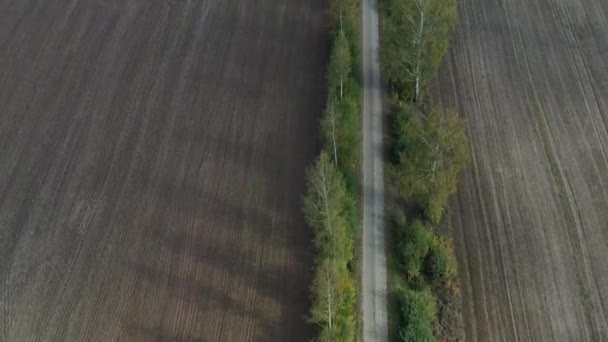 Autumn Gravel Road Farmland Aerial View — Stock Video