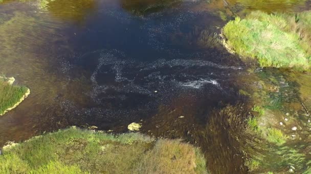 Débil Drenaje Mediados Verano Corriente Del Río Vista Aérea — Vídeo de stock