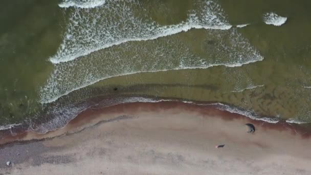 Mar Baltico Spiaggia Sabbiosa Onde Vista Aerea — Video Stock
