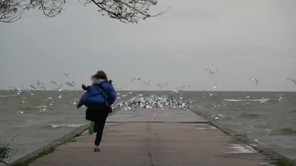 Glückliche Junge Frau Erschreckt Die Seevögel Auf Der Seebrücke — Stockvideo