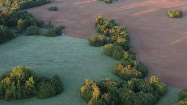 Vackert Landskap Med Första Höstfrost Ängar Och Fält Flygutsikt — Stockvideo