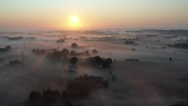 日の出後の森や畑が広がる霧に包まれた朝の風景 — ストック動画