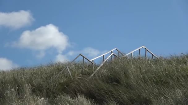 Старая Деревянная Лестница Пляже Балтийского Моря Ветер Траве — стоковое видео
