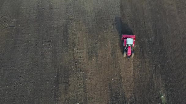 Agriculture Tractor Sowing Crop Autumn Field Aerial View — Stock Video