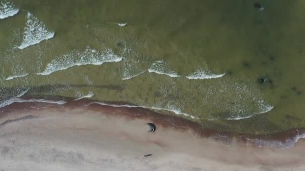 バルト海のビーチと波 リトアニア 航空写真 — ストック動画