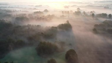 Doğa parkında sabah sisi, hava manzarası