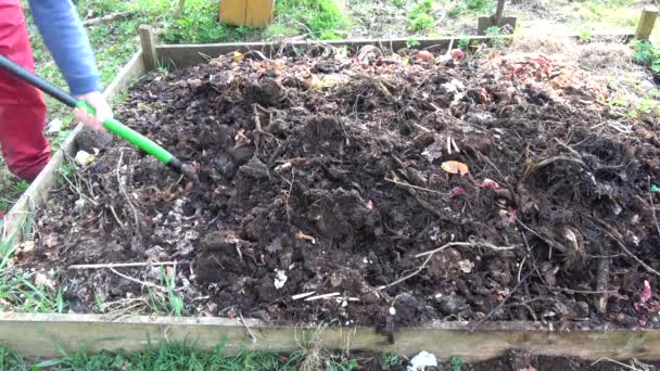 Gardener Σκάψει Λίπασμα Χώμα Σωρό Πιρούνι Την Άνοιξη — Αρχείο Βίντεο