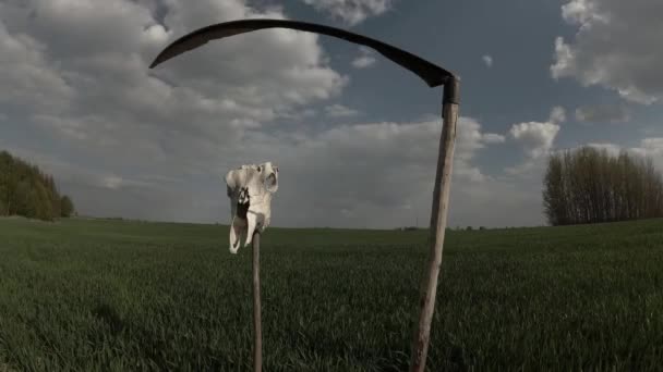 Alte Rostige Sense Auf Abgeerntetem Feld Pferdeschädel Und Wolkenbewegung Zeitraffer — Stockvideo