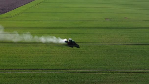 Tractorul Agricol Răspândirea Îngrășămintelor Câmpul Recoltei Verzi Primăvară Timpurie Vedere — Videoclip de stoc