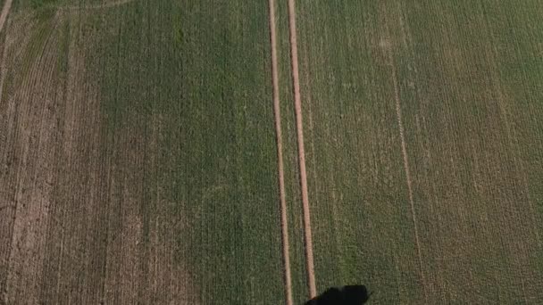 Tractor Propagación Fertilizantes Campo Cultivo Primavera Vista Aérea — Vídeos de Stock