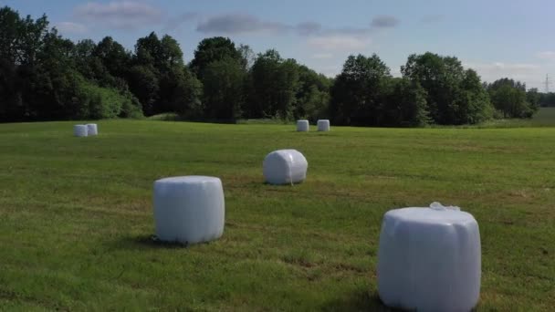 Wrapped white hay bales on summer meadow, aerial view — Stock Footage Wrapped White Hay Bales Summer Meadow Aerial View Stock Footage