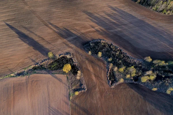 Gepflügtes Feld Frühjahr Und Kleine Haine Naturpark Antenne — Stockfoto