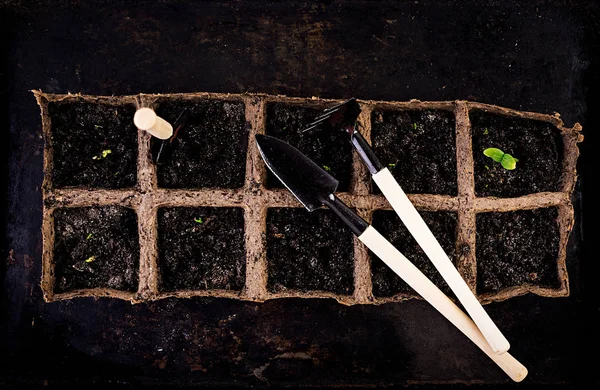 Set Gardening Tools Top View — Stock Photo, Image