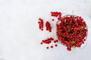 Beyaz zemin üzerine kırmızı kuş üzümü. Üstten Görünüm