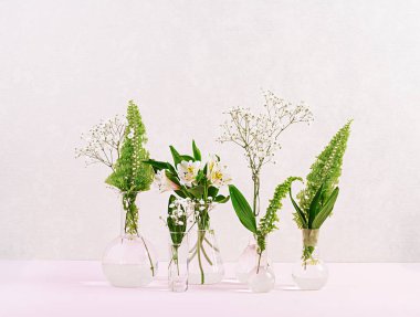 Şişedeki çiçekler ve bitkiler. Vazo çiçekleri ile güzel bahar arka plan.