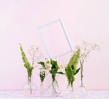 Çiçekler ve bitkiler çerçeve ile şişede. Vazo çiçekleri ile güzel bahar arka plan.