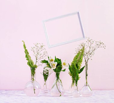 Çiçekler ve bitkiler çerçeve ile şişede. Vazo çiçekleri ile güzel bahar arka plan.