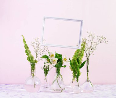 Çiçekler ve bitkiler çerçeve ile şişede. Vazo çiçekleri ile güzel bahar arka plan.