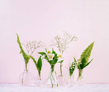 Şişedeki çiçekler ve bitkiler. Vazo çiçekleri ile güzel bahar arka plan.