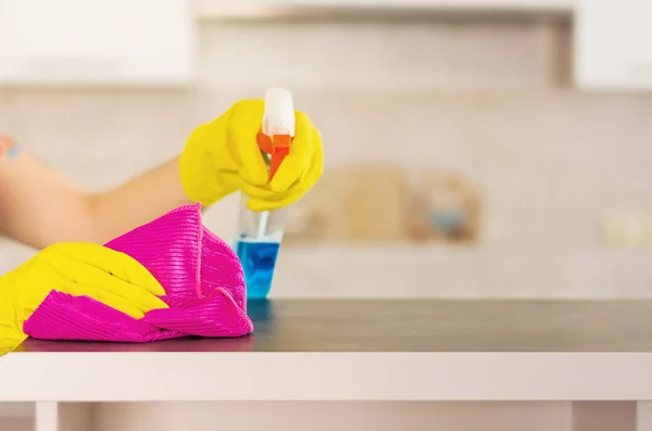 Woman in protective gloves wiping dust using cleaning spray and duster. Cleaning service concept.