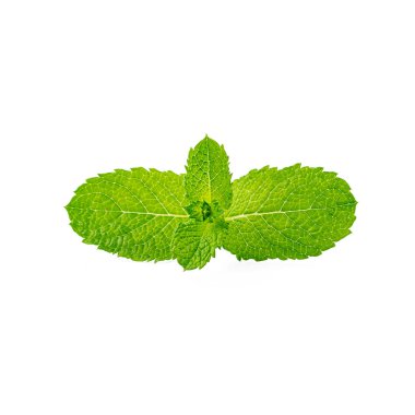 Beyaz arkaplanda izole edilmiş taze nane yaprakları